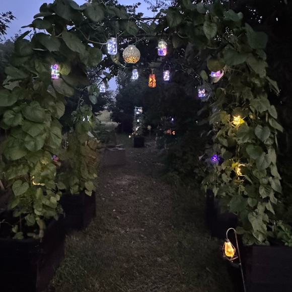 Solar Fairy Light Mason Jars - Multicolor or white lights. One random fairy jar - Picture 3 of 10